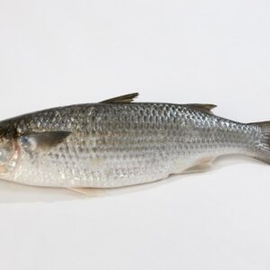 Mullet Fish, 1 Kilo